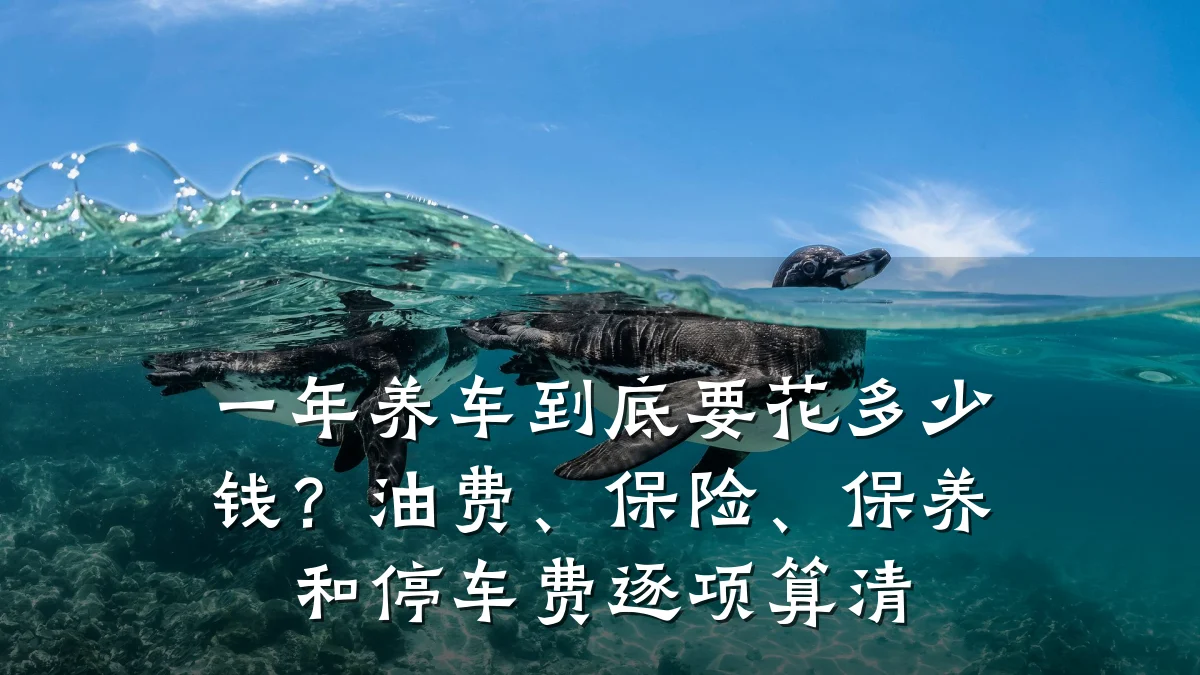 一年养车到底要花多少钱?油费、保险、保养和停车费逐项算清