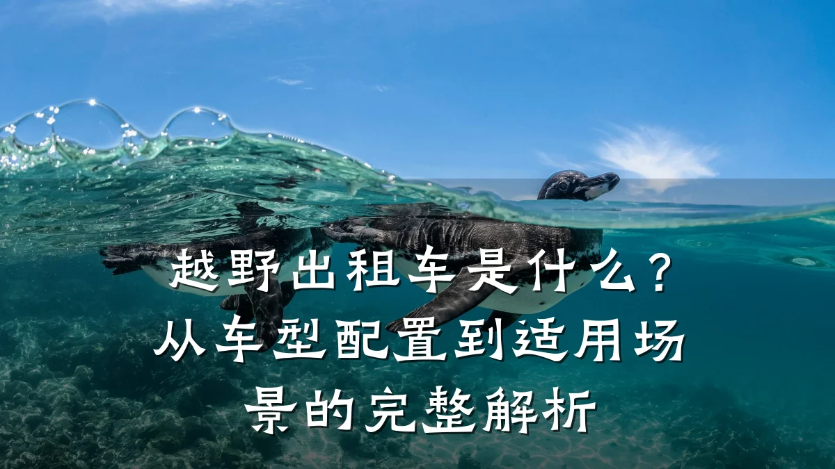 越野出租车是什么？从车型配置到适用场景的完整解析