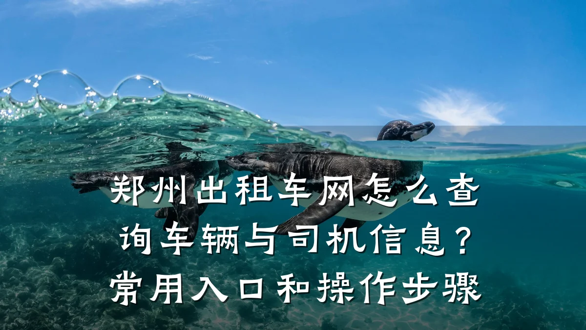 郑州出租车网怎么查询车辆与司机信息？常用入口和操作步骤
