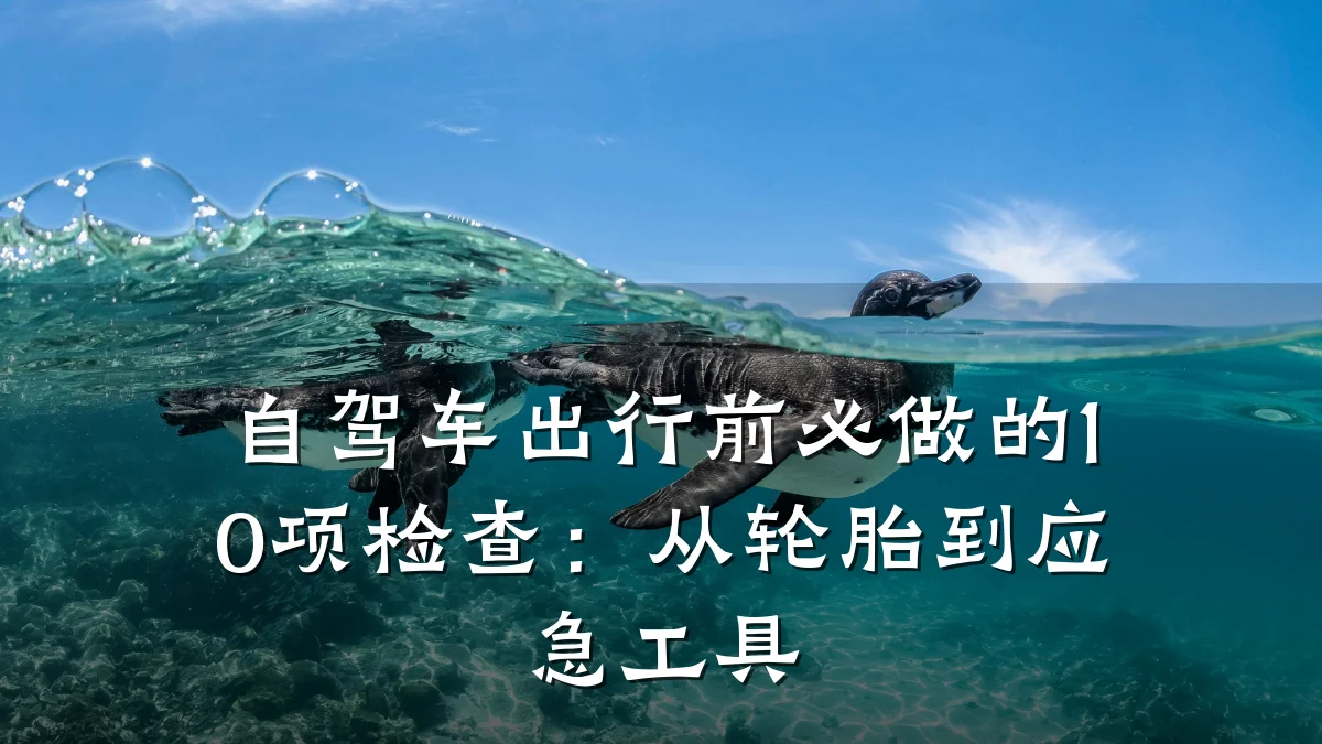 自驾车出行前必做的10项检查：从轮胎到应急工具