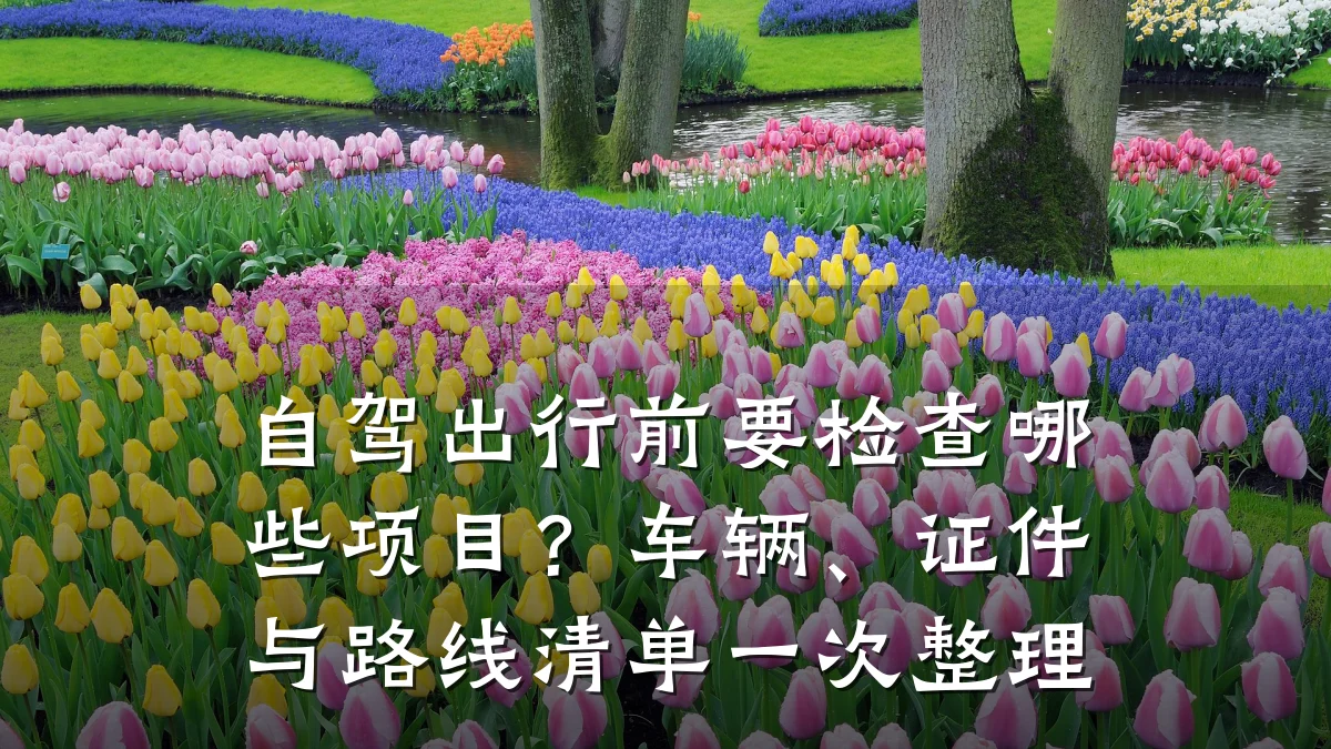 自驾出行前要检查哪些项目?车辆、证件与路线清单一次整理