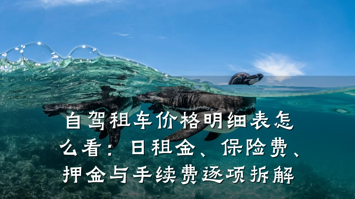 自驾租车价格明细表怎么看：日租金、保险费、押金与手续费逐项拆解