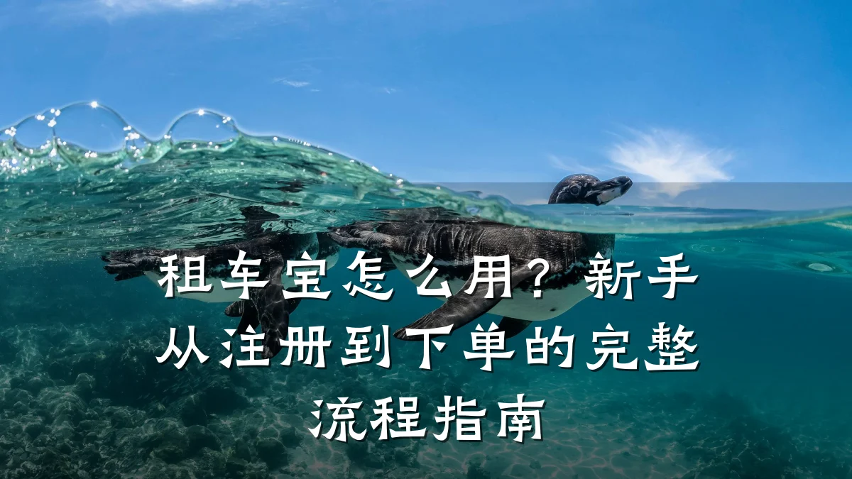 租车宝怎么用？新手从注册到下单的完整流程指南
