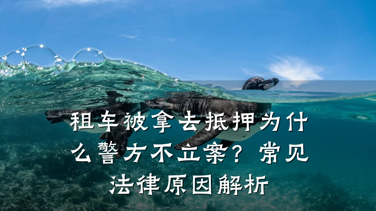租车被拿去抵押为什么警方不立案？常见法律原因解析