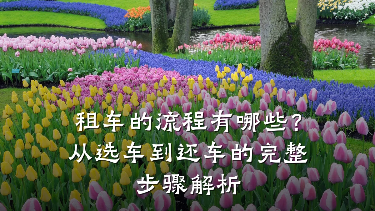 租车的流程有哪些?从选车到还车的完整步骤解析