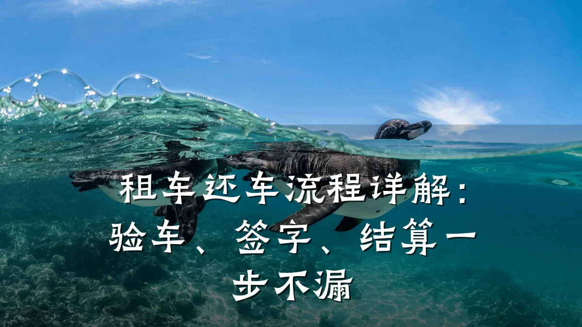 租车还车流程详解:验车、签字、结算一步不漏