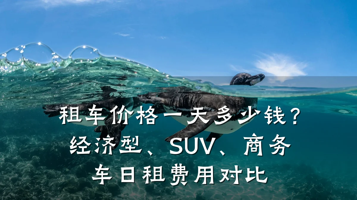 租车价格一天多少钱？经济型、SUV、商务车日租费用对比