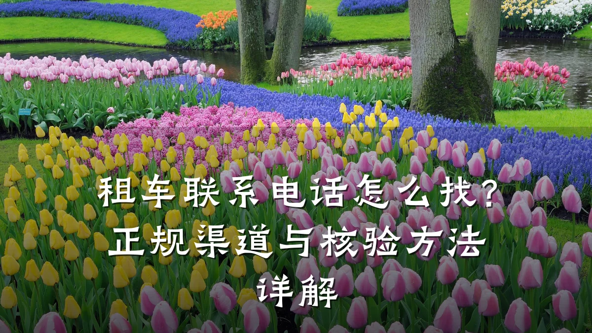 租车联系电话怎么找？正规渠道与核验方法详解