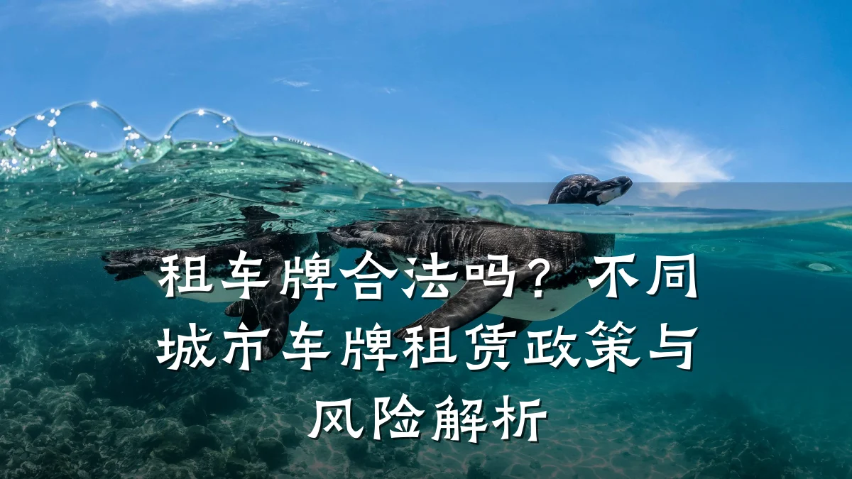 租车牌合法吗?不同城市车牌租赁政策与风险解析