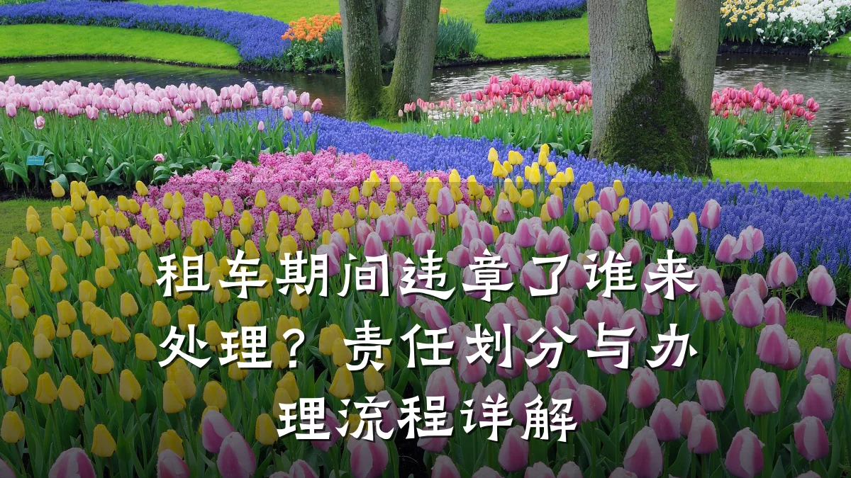 租车期间违章了谁来处理?责任划分与办理流程详解