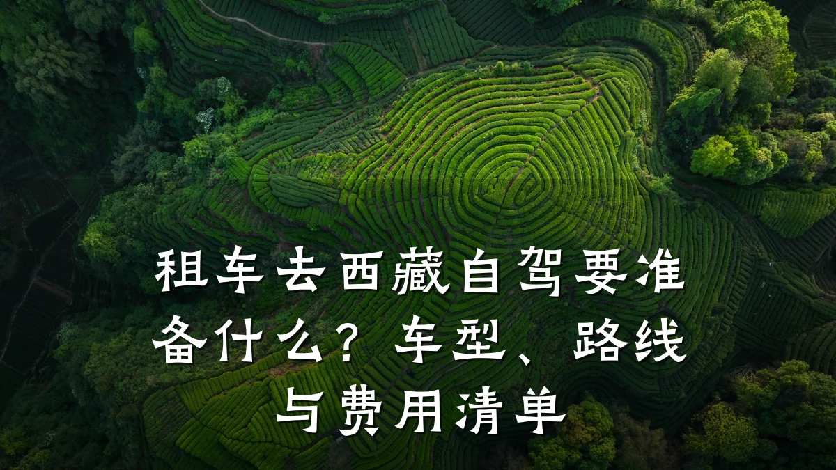 租车去西藏自驾要准备什么?车型、路线与费用清单