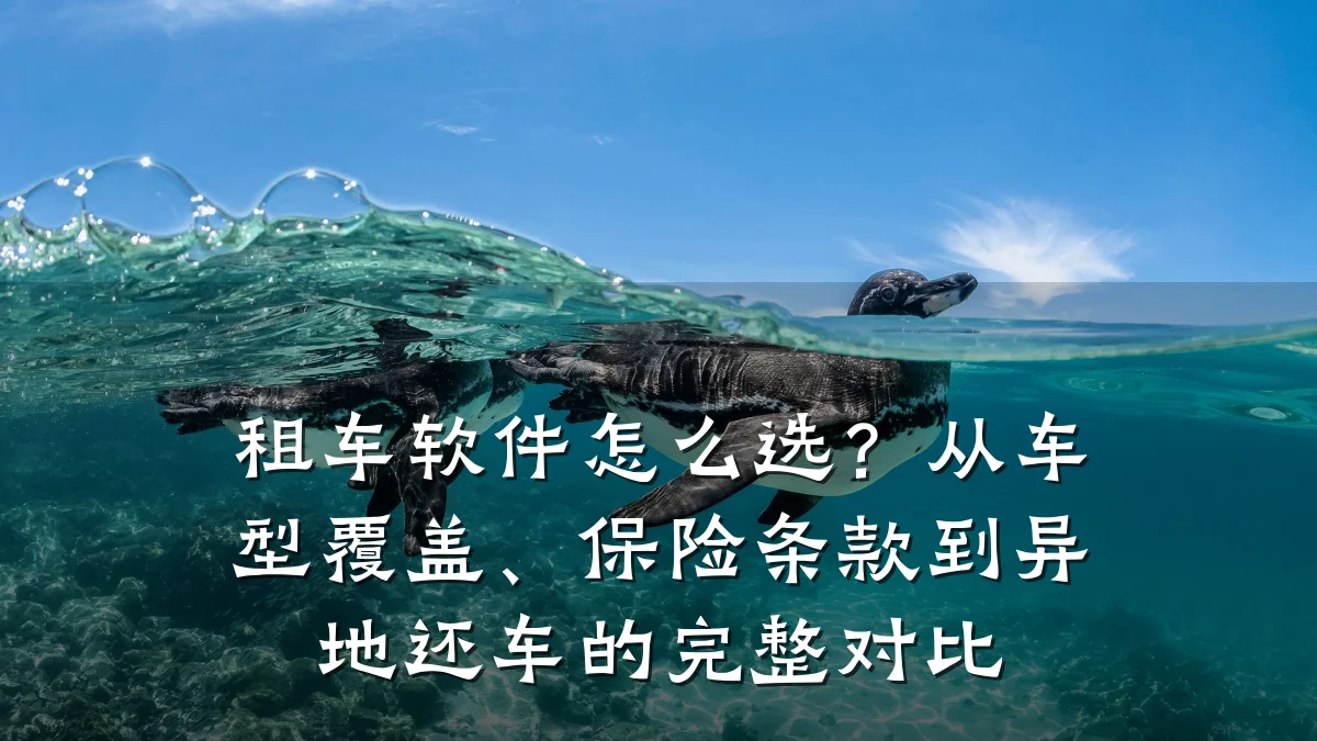 租车软件怎么选？从车型覆盖、保险条款到异地还车的完整对比