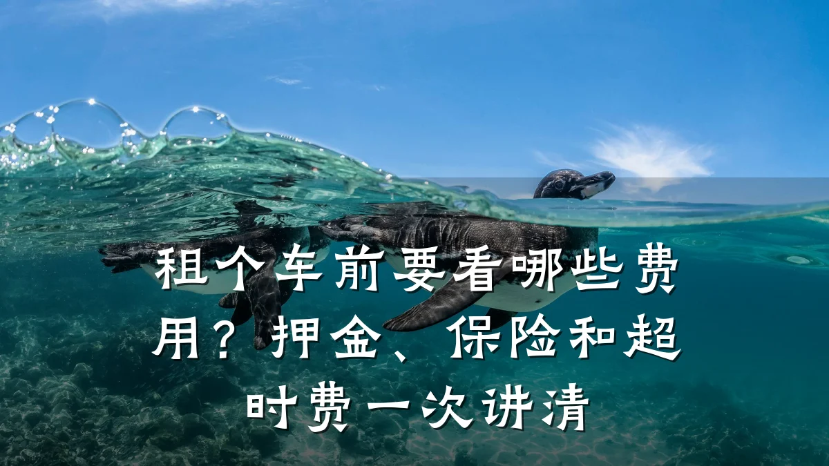 租个车前要看哪些费用？押金、保险和超时费一次讲清