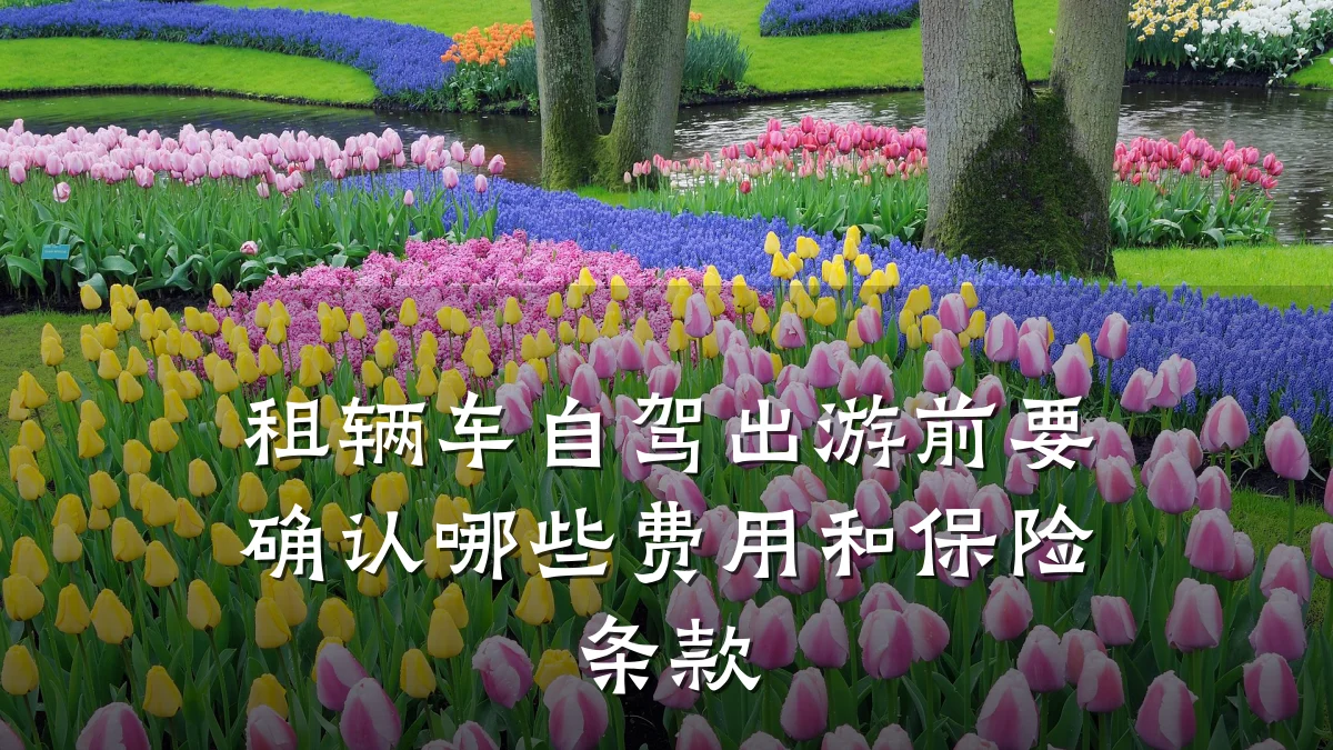 租辆车自驾出游前要确认哪些费用和保险条款