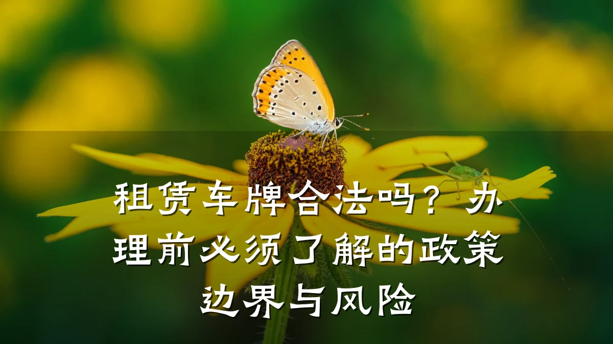 租赁车牌合法吗？办理前必须了解的政策边界与风险
