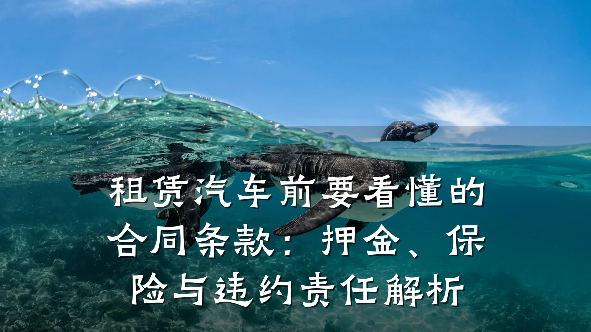 租赁汽车前要看懂的合同条款：押金、保险与违约责任解析