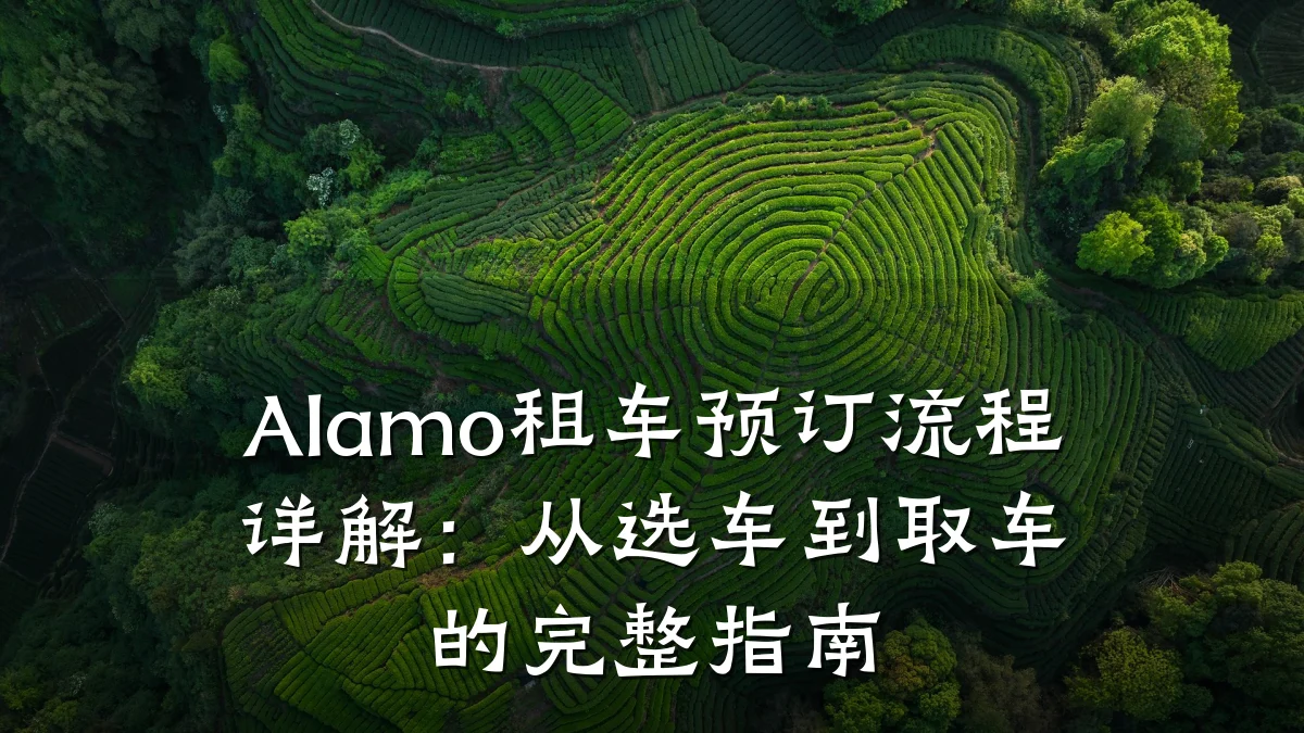 Alamo租车预订流程详解：从选车到取车的完整指南