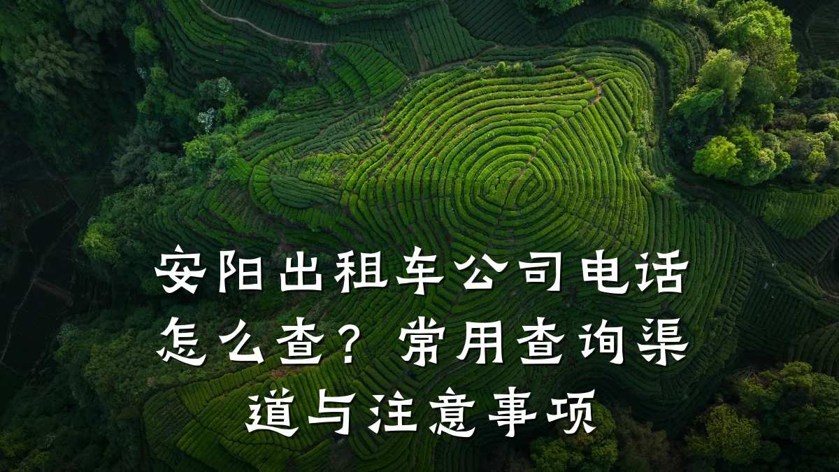 安阳出租车公司电话怎么查?常用查询渠道与注意事项