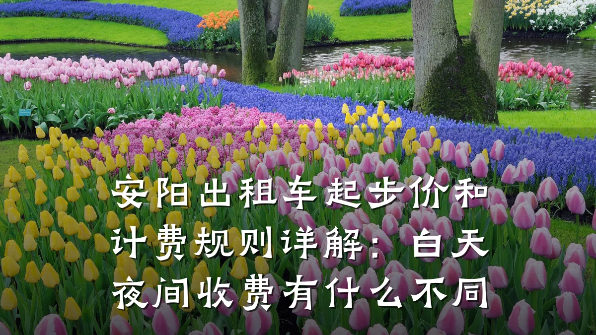安阳出租车起步价和计费规则详解:白天夜间收费有什么不同