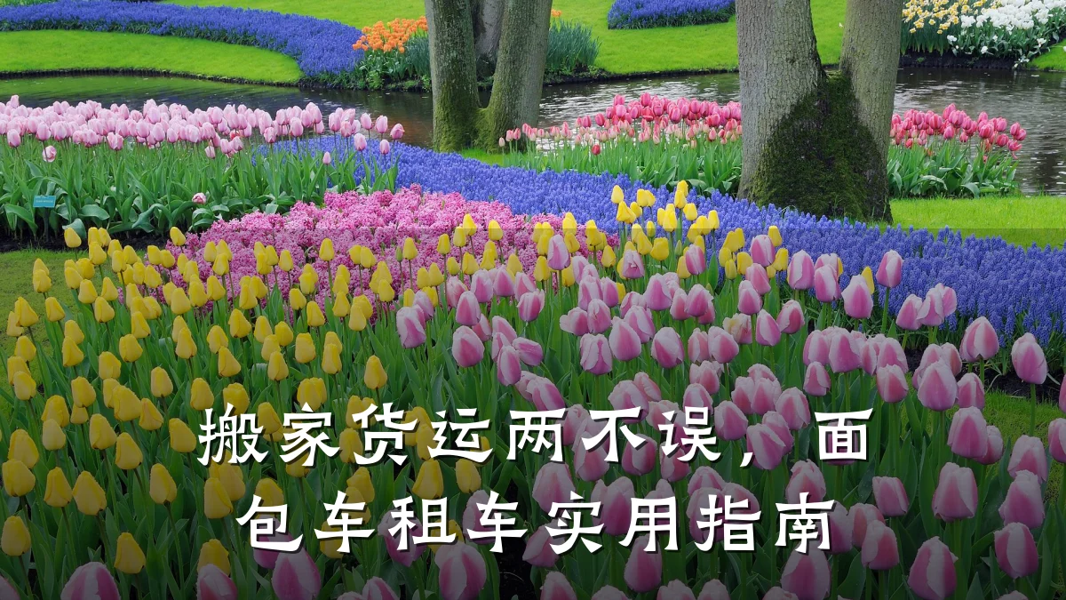 搬家货运两不误,面包车租车实用指南