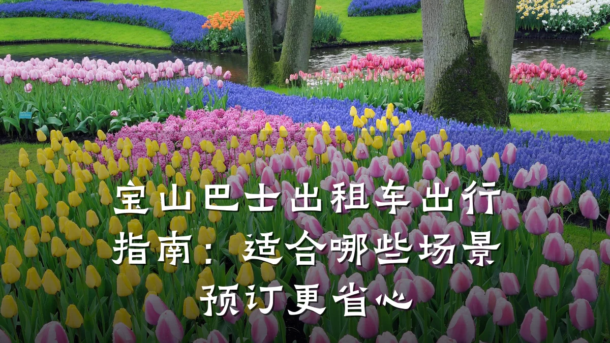 宝山巴士出租车出行指南：适合哪些场景预订更省心