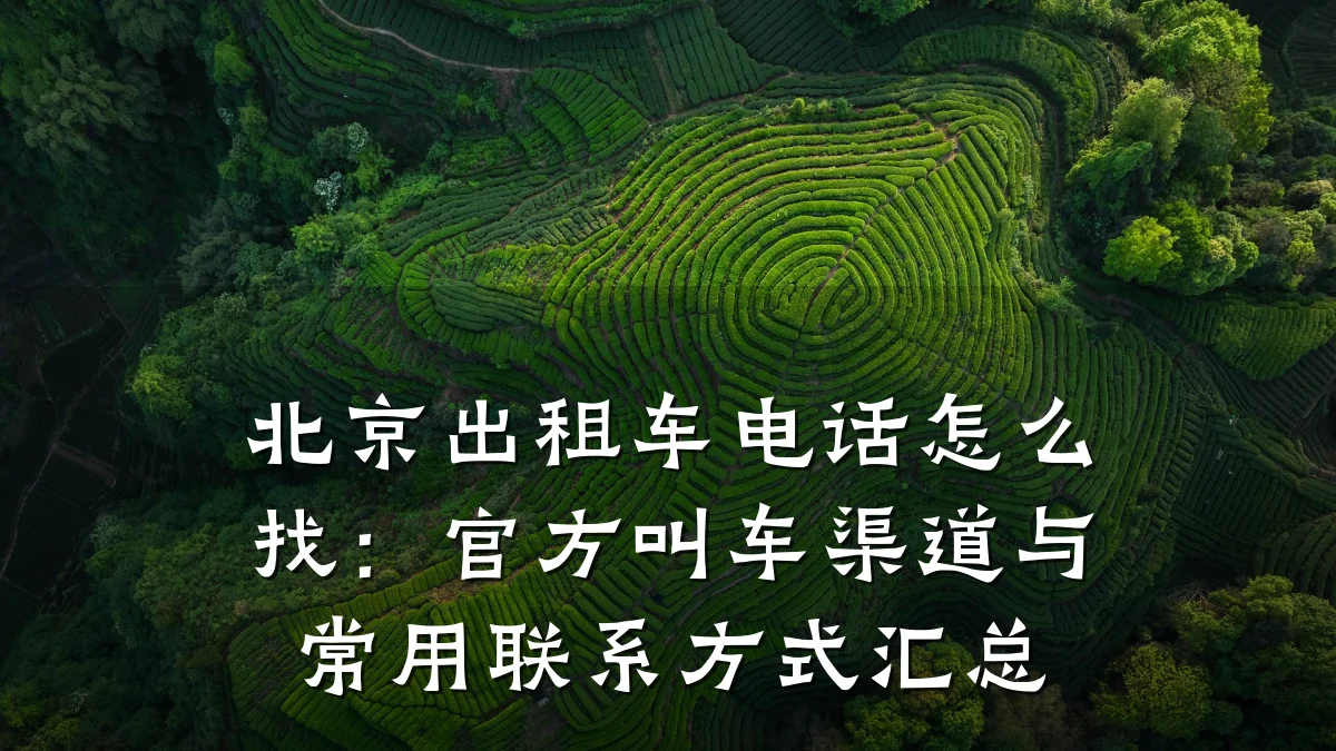 北京出租车电话怎么找：官方叫车渠道与常用联系方式汇总