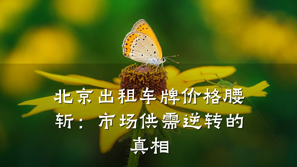 北京出租车牌价格腰斩:市场供需逆转的真相