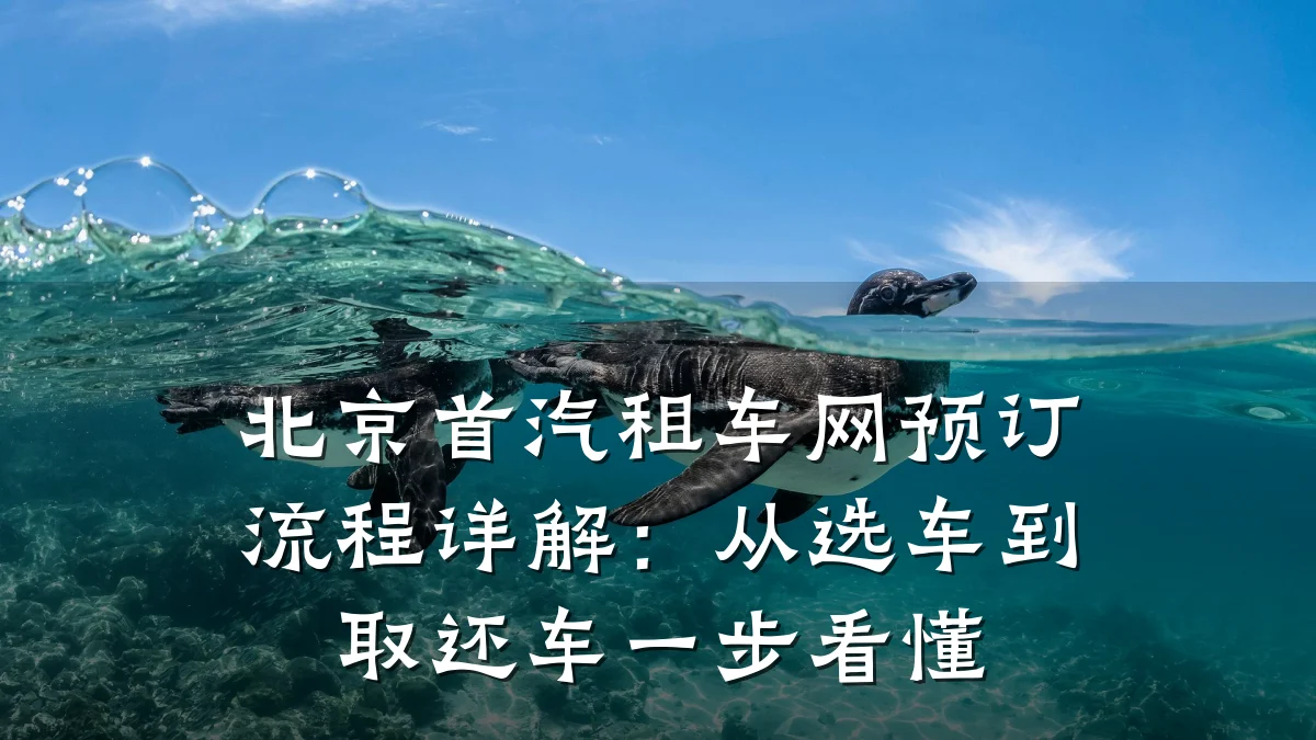 北京首汽租车网预订流程详解：从选车到取还车一步看懂