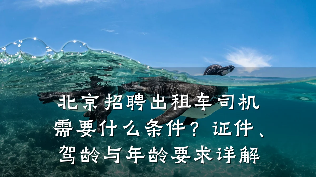 北京招聘出租车司机需要什么条件?证件、驾龄与年龄要求详解