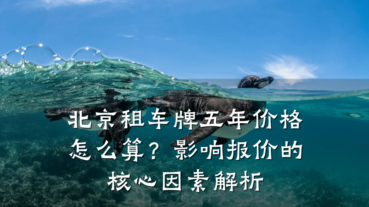 北京租车牌五年价格怎么算?影响报价的核心因素解析