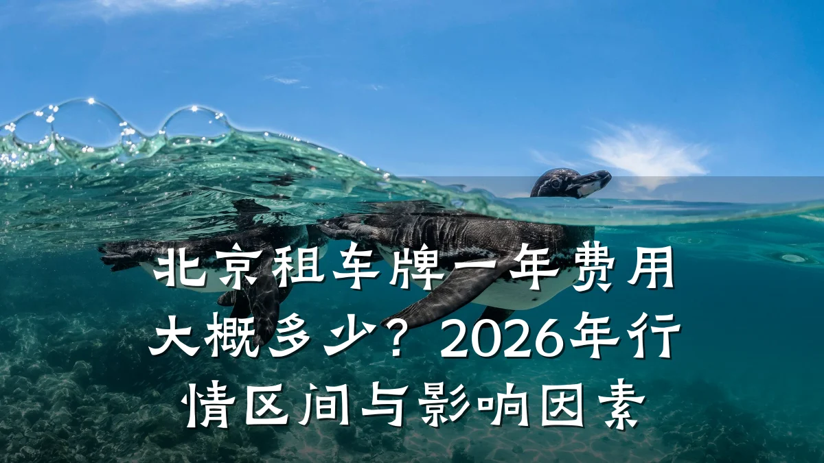 北京租车牌一年费用大概多少？2026年行情区间与影响因素