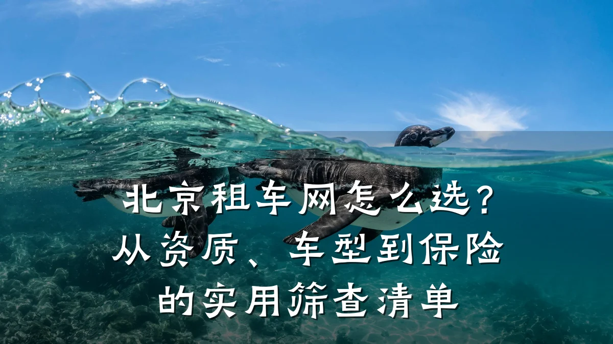 北京租车网怎么选？从资质、车型到保险的实用筛查清单
