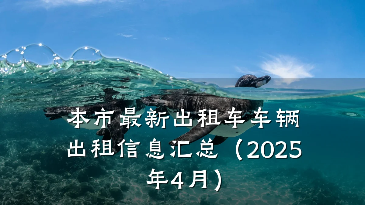 本市最新出租车车辆出租信息汇总（2025年4月）