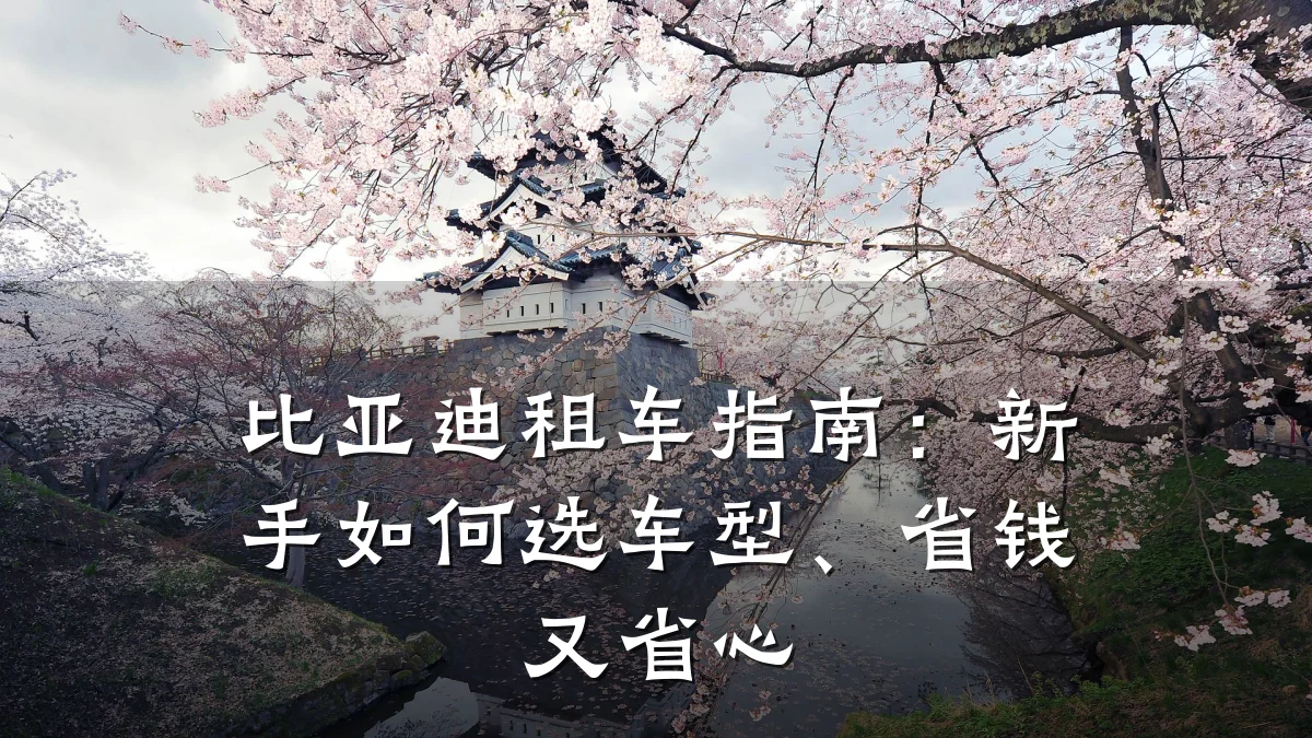 比亚迪租车指南:新手如何选车型、省钱又省心