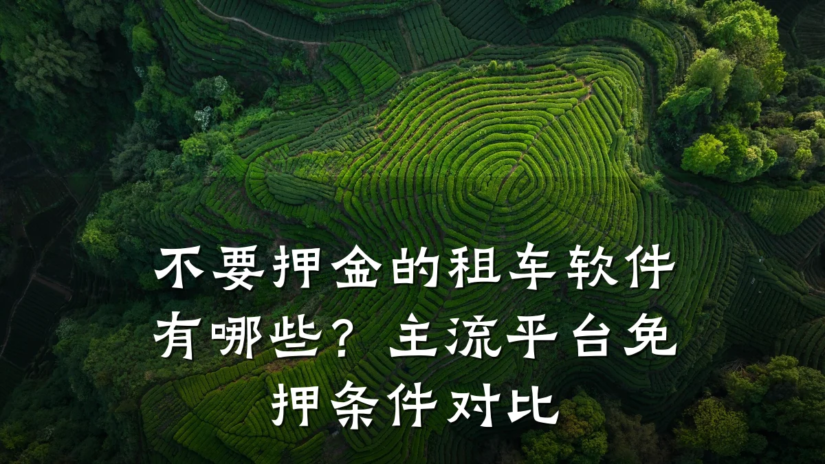 不要押金的租车软件有哪些？主流平台免押条件对比