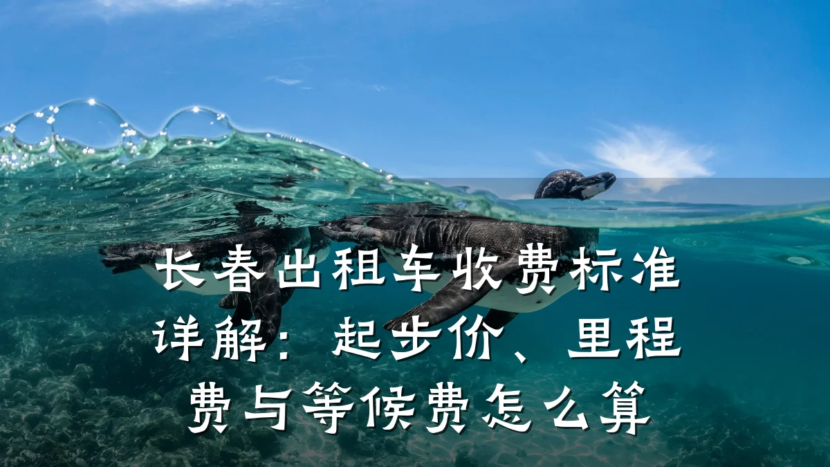 长春出租车收费标准详解:起步价、里程费与等候费怎么算