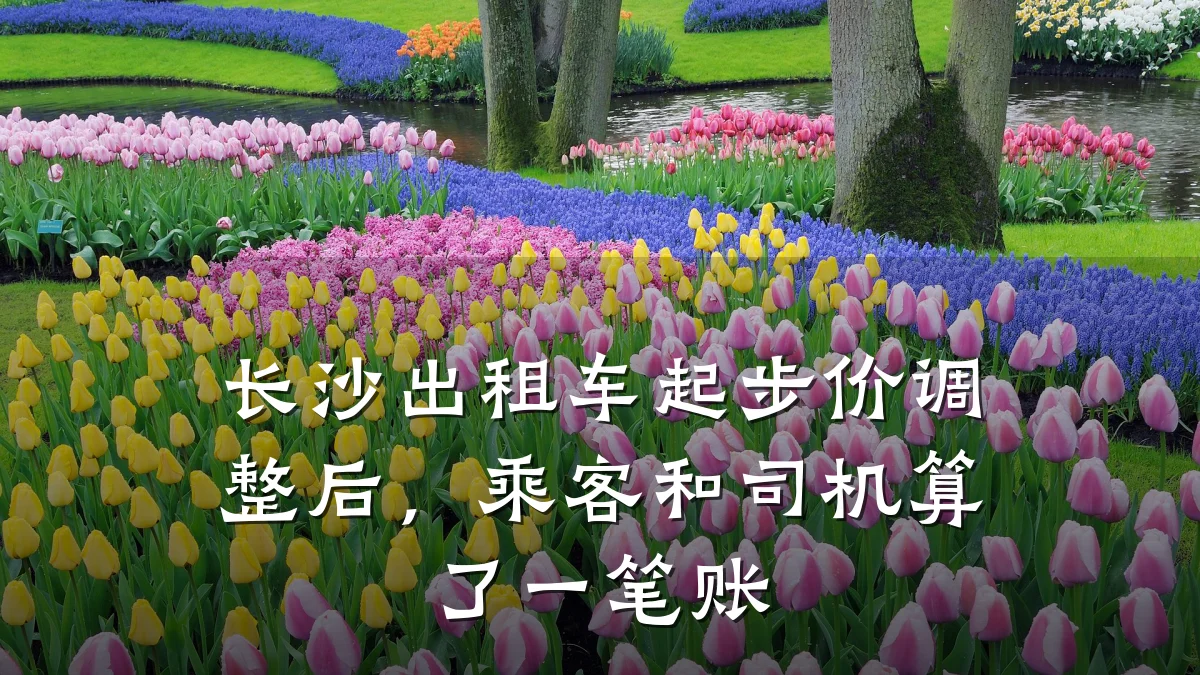 长沙出租车起步价调整后，乘客和司机算了一笔账
