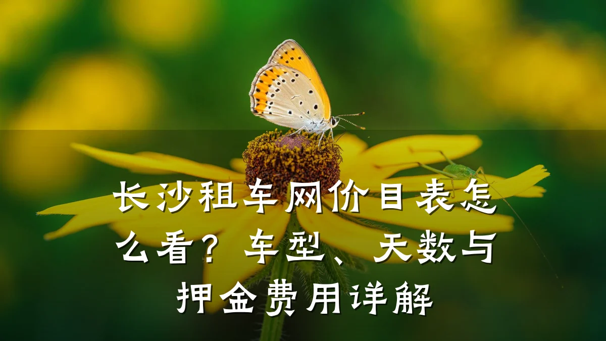 长沙租车网价目表怎么看？车型、天数与押金费用详解