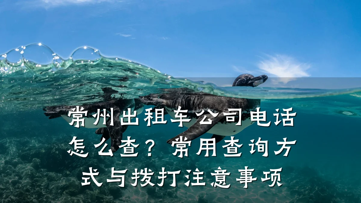 常州出租车公司电话怎么查？常用查询方式与拨打注意事项