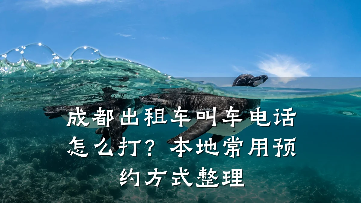成都出租车叫车电话怎么打？本地常用预约方式整理