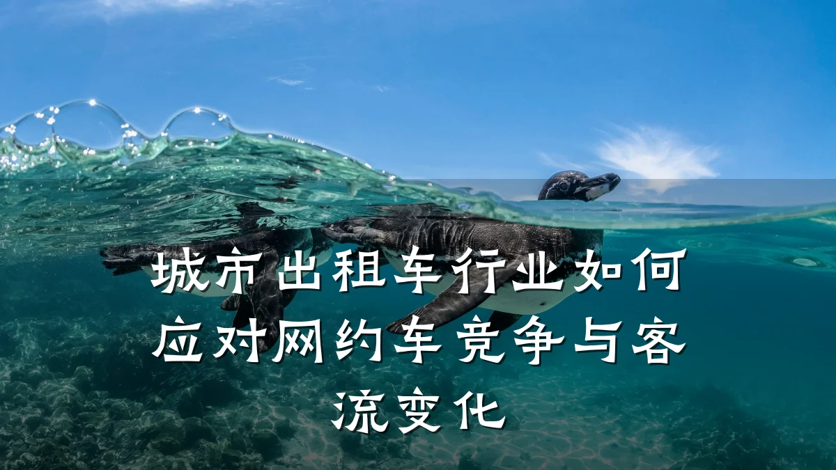 城市出租车行业如何应对网约车竞争与客流变化