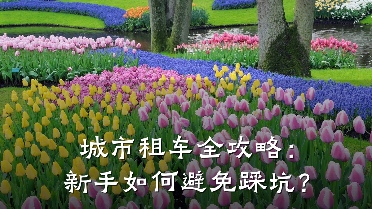 城市租车全攻略:新手如何避免踩坑?