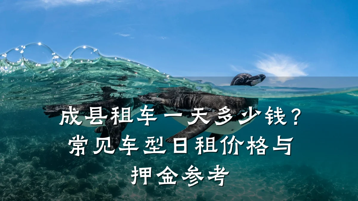成县租车一天多少钱？常见车型日租价格与押金参考