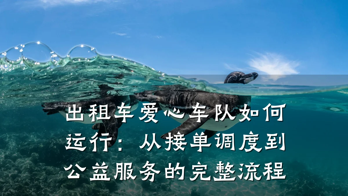 出租车爱心车队如何运行:从接单调度到公益服务的完整流程