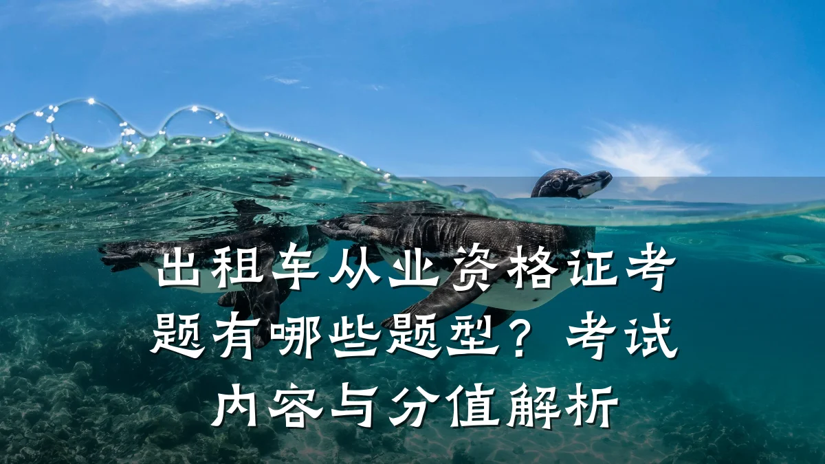出租车从业资格证考题有哪些题型？考试内容与分值解析