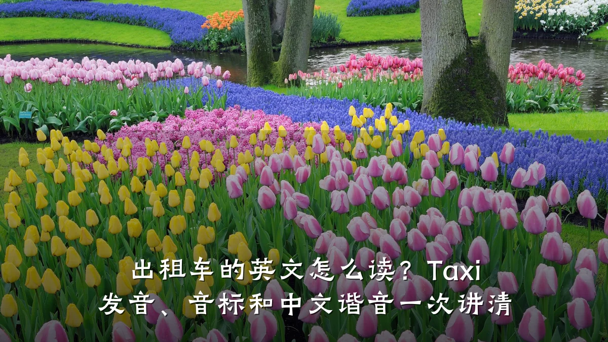 出租车的英文怎么读?Taxi 发音、音标和中文谐音一次讲清