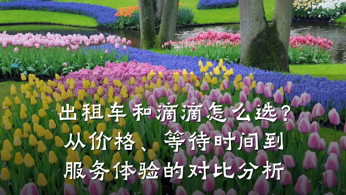 出租车和滴滴怎么选?从价格、等待时间到服务体验的对比分析