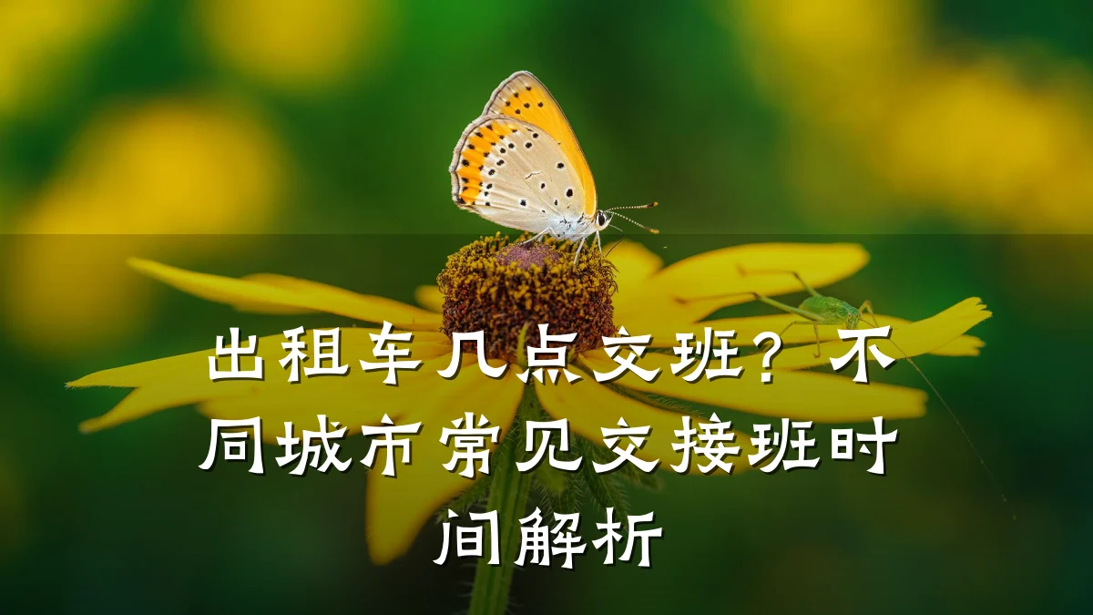 出租车几点交班？不同城市常见交接班时间解析