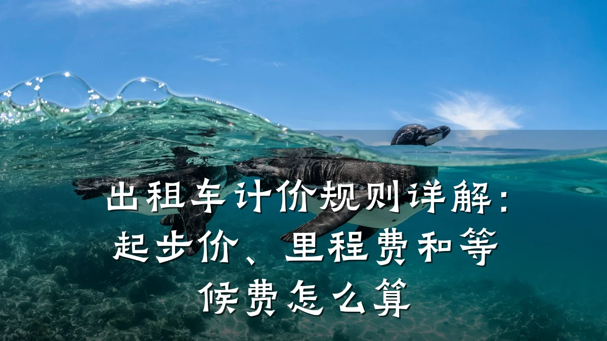 出租车计价规则详解：起步价、里程费和等候费怎么算