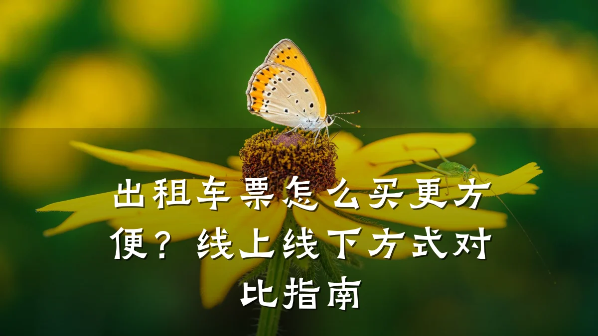 出租车票怎么买更方便?线上线下方式对比指南